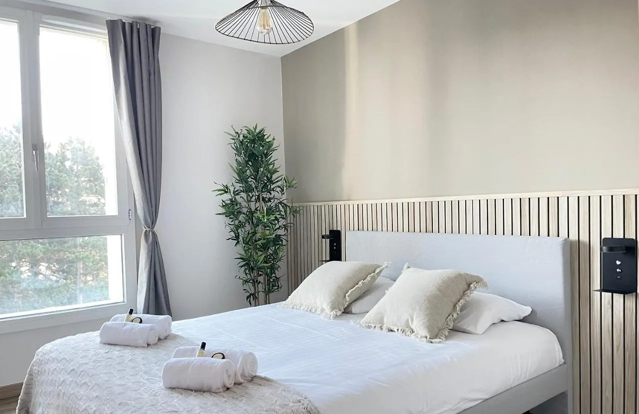 Luxurious & Spacious Flat In Paris location
